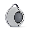 Портативная колонка Devialet Mania | Light Grey JE832